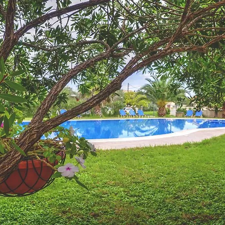 茉莉花公寓 * 斯达林