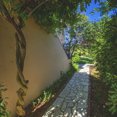 茉莉花公寓 公寓 斯达林