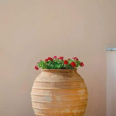 Jasmine * Σιδάρι