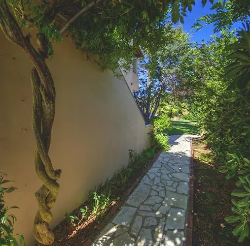 Jasmine Apartamento Sidárion